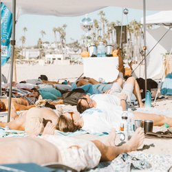 Weeping Willow Wellness