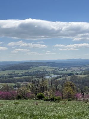 Sky Meadows State Park by null