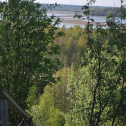 Majavatien portaat
