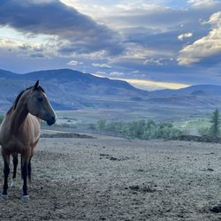 Sundance Guest Ranch