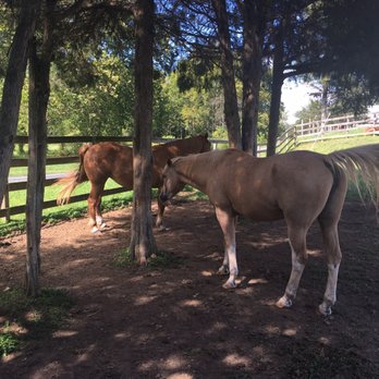 Royal Horseshoe Farm - Horseback Riding Near Me - Front Royal, Virginia