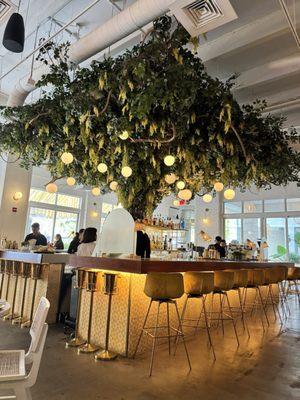 Motek Coral Gables by null