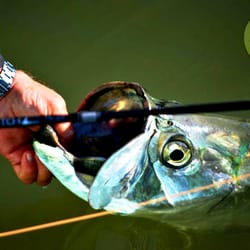 Mangrove Outfitters Fly Shop