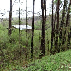Blind Suzie Covered Bridge - From the road it looks like a shed in the woods.