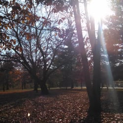 Wilborn & Eddie Mundo Parks - Soaking up the sun Rays..