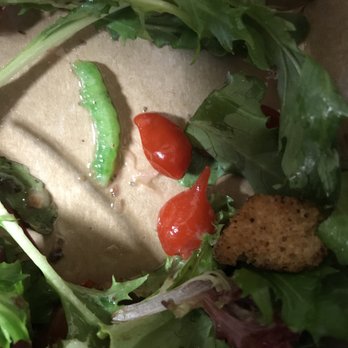 Berkeley Bowl West - Another Pic of a CATERPILLER ALIVE in my SALAD!!! SHAME Berkeley Bowl!!! - Cafes Near Me - Berkeley, California Berkeley Bowl West - Another Pic of a CATERPILLER ALIVE in my SALAD!!! SHAME Berkeley Bowl!!! - Cafes Near Me - Berkeley, California