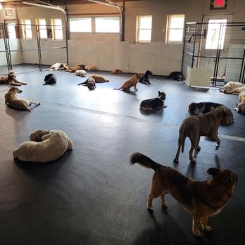 Karens K-9 Care - Doggie Daycare and Dog Boarding , both indoor and outdoor play areas - Pet Sitting Near Me - Frazer, Pennsylvania Karens K-9 Care - Doggie Daycare and Dog Boarding , both indoor and outdoor play areas - Pet Sitting Near Me - Frazer, Pennsylvania