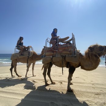 Picacho Adventures - Tours Near Me - Cabo San Lucas, BCS Picacho Adventures - Tours Near Me - Cabo San Lucas, BCS