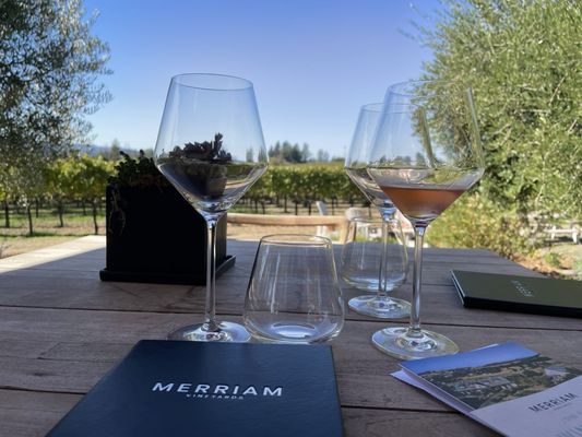 Merriam Vineyards by null
