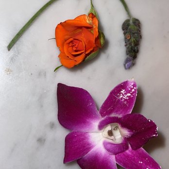 Atlantic Fish & Chop House - a purple flower and a rose - Seafood Near Me - Edgartown, Massachusetts Atlantic Fish & Chop House - a purple flower and a rose - Seafood Near Me - Edgartown, Massachusetts