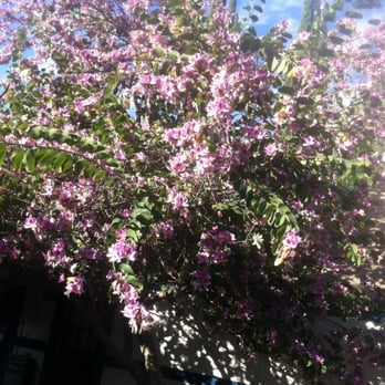 Briar Rose Winery - It's amazing here! Snow White cottage love it must see! And the wine is amazing - Wineries Near Me - Temecula, California Briar Rose Winery - It's amazing here! Snow White cottage love it must see! And the wine is amazing - Wineries Near Me - Temecula, California