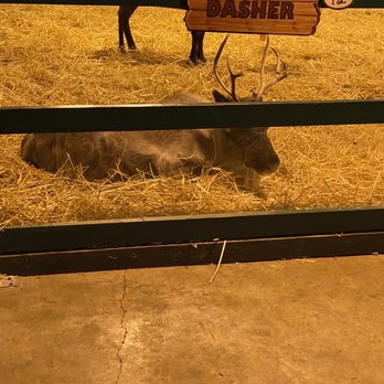 Hersheypark - Looking at Santa's Reindeer... one of our favorite activities here at Christmas! - Amusement Parks Near Me - Hershey, Pennsylvania Hersheypark - Looking at Santa's Reindeer... one of our favorite activities here at Christmas! - Amusement Parks Near Me - Hershey, Pennsylvania