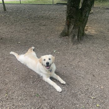 Bed & Biscuit - Pet Sitting Near Me - Black Mountain, North Carolina Bed & Biscuit - Pet Sitting Near Me - Black Mountain, North Carolina