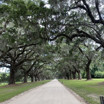 Boone Hall Plantation - Venues & Event Spaces Near Me - Mount Pleasant, South Carolina Boone Hall Plantation - Venues & Event Spaces Near Me - Mount Pleasant, South Carolina