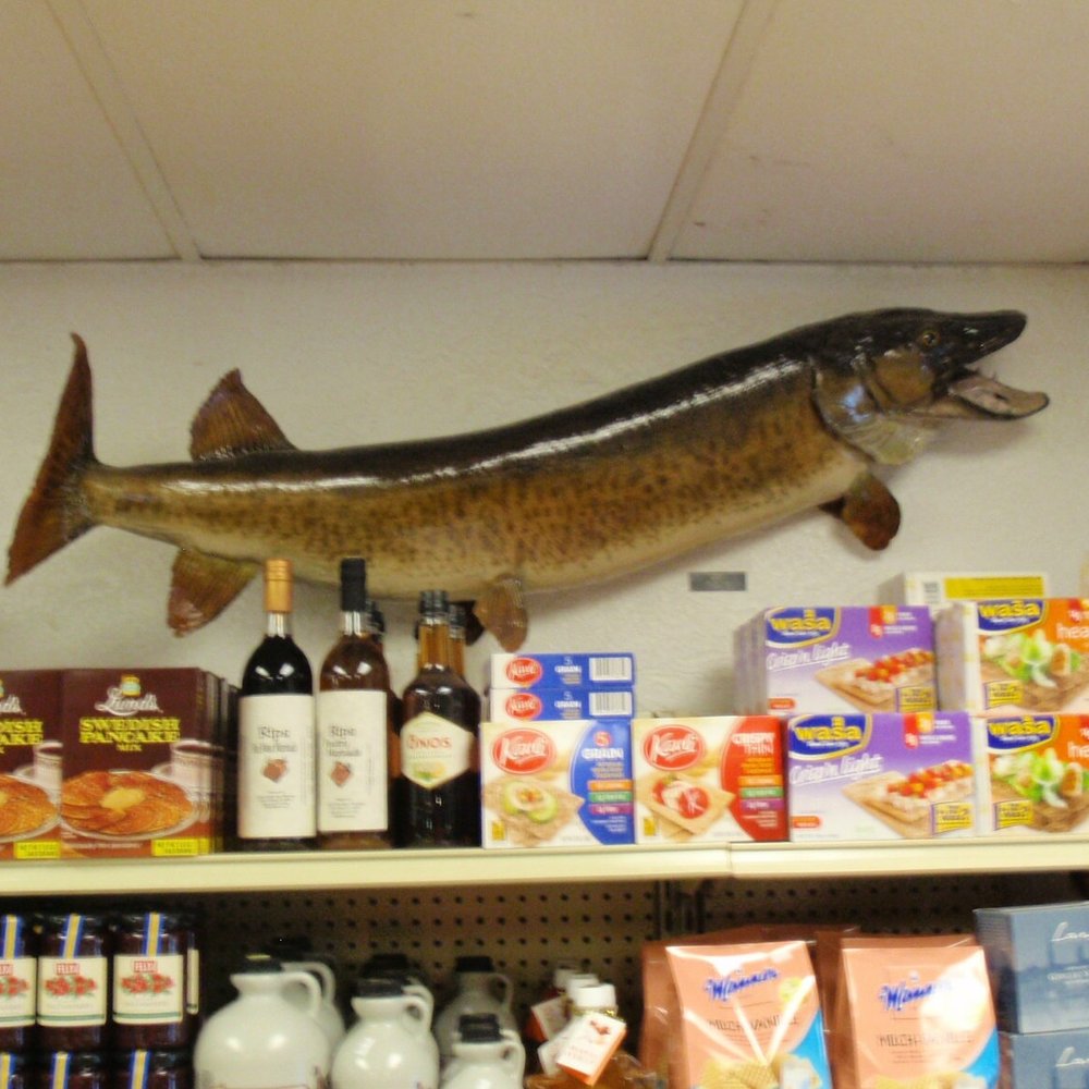 Bell's Meat & Poultry - a fish on a shelf - Meat Shops Near Me - Kane, Pennsylvania Bell's Meat & Poultry - a fish on a shelf - Meat Shops Near Me - Kane, Pennsylvania