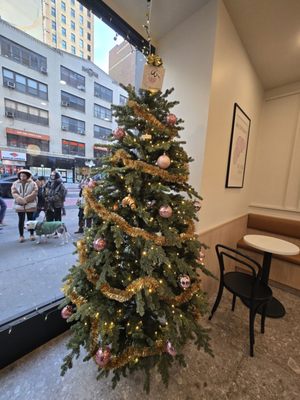 Somedays Bakery - Flatiron by null