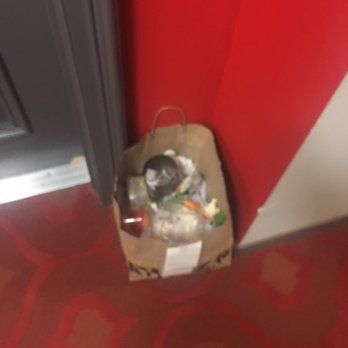 3350 At Alterra - Separate days, new trash. Left overnight. - Apartments Near Me - Hyattsville, Maryland 3350 At Alterra - Separate days, new trash. Left overnight. - Apartments Near Me - Hyattsville, Maryland