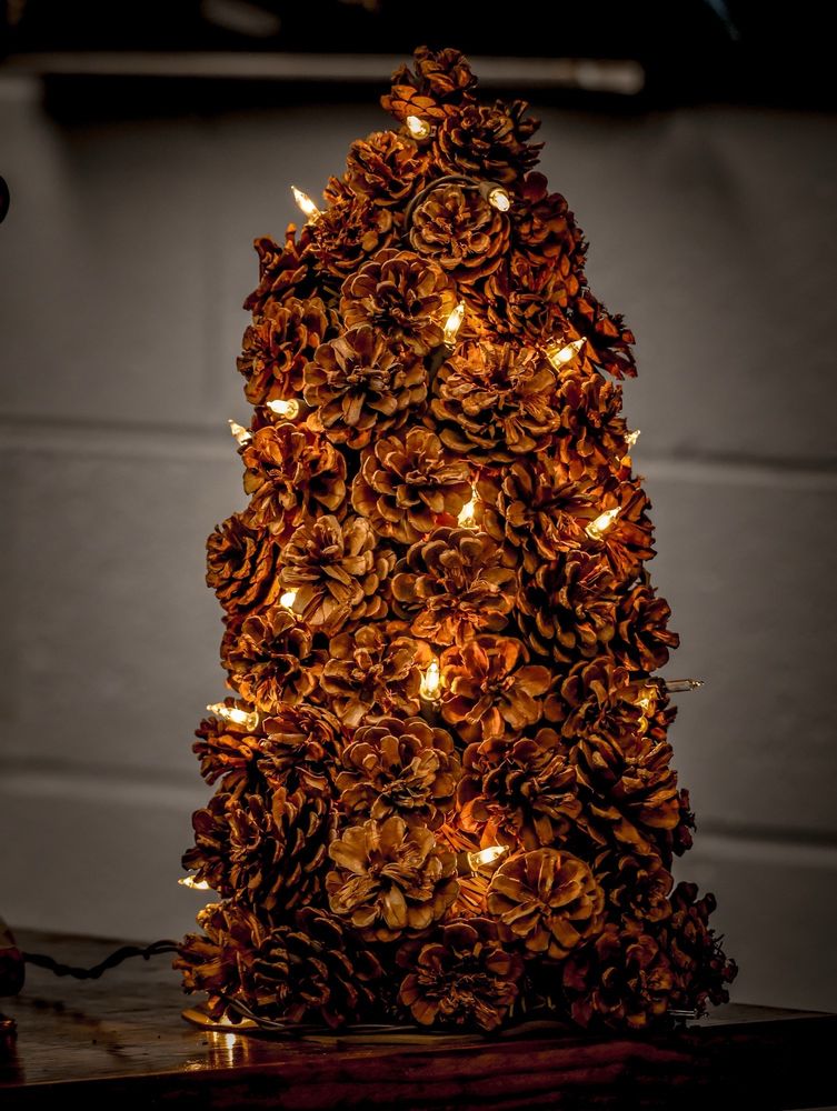 A Taste of Sunrise Coffee House