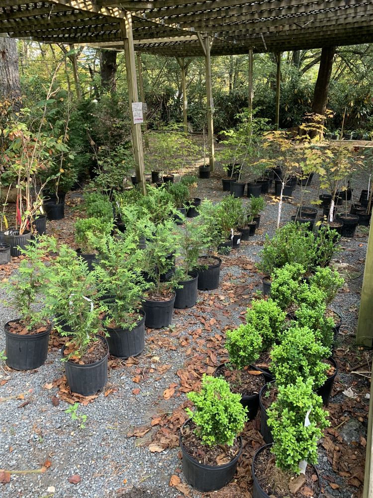 SUGAR MOUNTAIN NURSERY Request a Quote 675 Pineola St, Newland