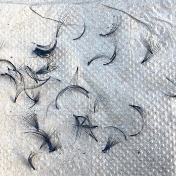Lash Me Good Lashtique - The lashes that fell off within the last 48 hours (4 days after being put on) - Eyelash Service Near Me - Nashville, Tennessee Lash Me Good Lashtique - The lashes that fell off within the last 48 hours (4 days after being put on) - Eyelash Service Near Me - Nashville, Tennessee