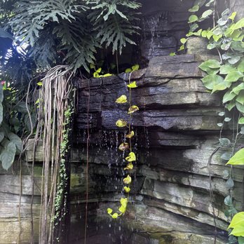 Mitchell Park Domes - tropical dome - Parks Near Me - Milwaukee, Wisconsin