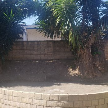 Orange County Tree Patrol - After! - Tree Services Near Me Orange County Tree Patrol - After! - Tree Services Near Me