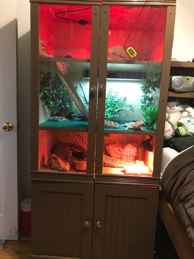 BEAR MARKET CONSIGNMENT SALES 37 Photos & 11 Reviews 605 W Highway