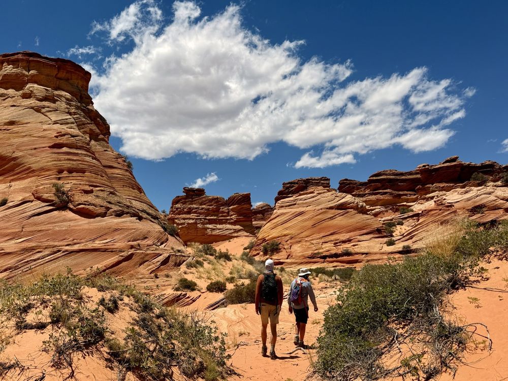 Coral Cliffs Tours and Townhomes Logo