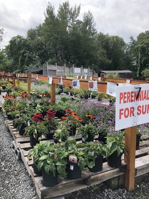 MEADOWS FARMS NURSERIES - ANNANDALE - Updated August 2024 - 28 Photos