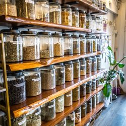 West Coast Willow Apothecary