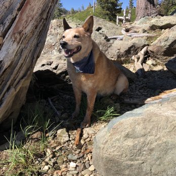 Nakoma Resort - He had a BLAST getting to the lake! - Resorts Near Me - Clio, California Nakoma Resort - He had a BLAST getting to the lake! - Resorts Near Me - Clio, California