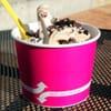 Xogurt gift card