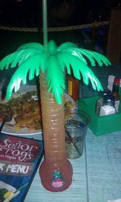 Senor Frog's by null