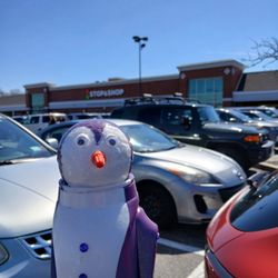 Stop & Shop - Stop and shop