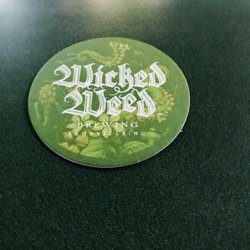 Calloway's Bar & Grill - Coaster