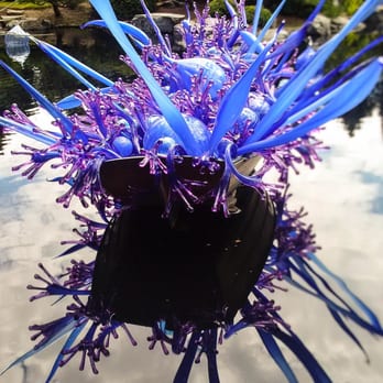 Denver Botanic Gardens - Chihuly Denver - Botanical Gardens Near Me - Denver, Colorado Denver Botanic Gardens - Chihuly Denver - Botanical Gardens Near Me - Denver, Colorado