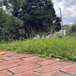 Augusta Lawn Care
