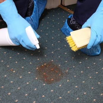 Cleaning services Ealing - Home Cleaning Near Me - London, XGL Cleaning services Ealing - Home Cleaning Near Me - London, XGL