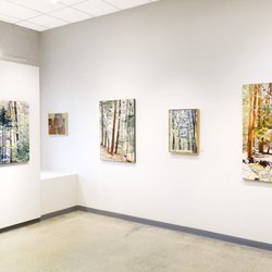 Moss Galleries - Liz Hoag: Nearby Beauty