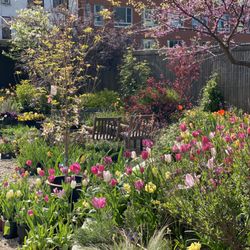 Outside Space - Outside Spring Garden