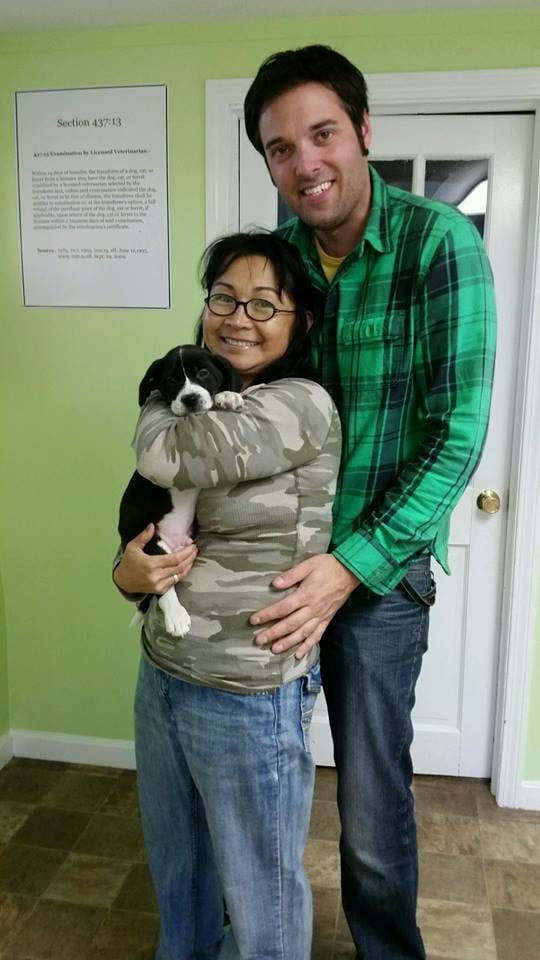 HOMES FOR HAPPY DOGS Updated August 2024 11 Photos 109 Dover St