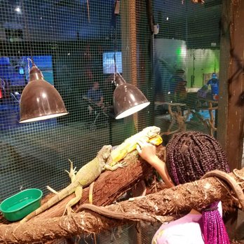 Austin Aquarium - Aquariums Near Me - Austin, Texas