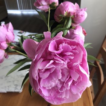 Trader Joe's - Peony bouquet - Grocery Near Me - Naperville, Illinois