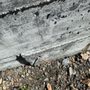 Photo of ASAPP-Pro Hardscape and Masonry