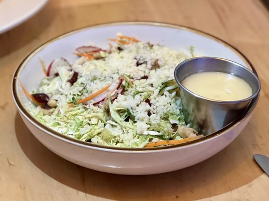 Medusa The Greek by null