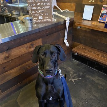 Blvd Cafecito - My big child in front of blvd's Halloween decor. - Coffee & Tea Near Me - Burbank, California Blvd Cafecito - My big child in front of blvd's Halloween decor. - Coffee & Tea Near Me - Burbank, California