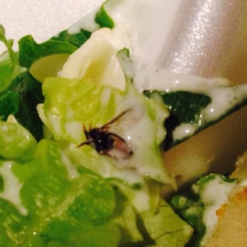 Cheddar's Scratch Kitchen - Here is the fly in our Togo salad!!!! - Comfort Food Near Me - Brandywine, Maryland