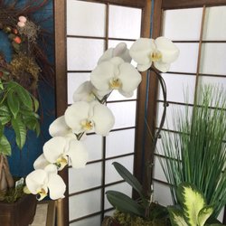 Awesome Flowers - We always have an amazing selection of orchid plants.  $79.95