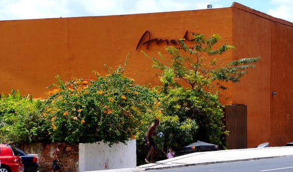 Amado by null