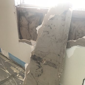 Mold Remediation USA - Minor mold that Louis put our minds at ease about! - Damage Restoration Near Me Mold Remediation USA - Minor mold that Louis put our minds at ease about! - Damage Restoration Near Me